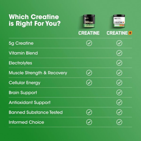 Optimum Nutrition Creatine Monohydrate Plus Powder, Orange Passionfruit Flavored Creatine Performance Blend With Electrolytes for Hydration, Added Vitamins, 40 Servings, 360 Grams (Packaging May Vary) - Image 7