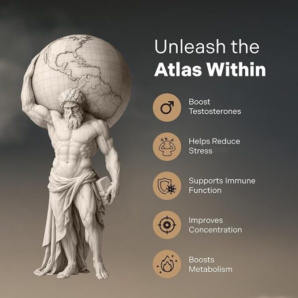 ATLAS X 10-in-1 Masculinity Maximiser Supplement for Men - Energy, Strength & Vitality Capsules with Shilajit, Ashwagandha, Zinc, Safed Musli, Tongkat Ali, Black Maca, Fadogia Agrestis, 2 Month Supply - Image 4