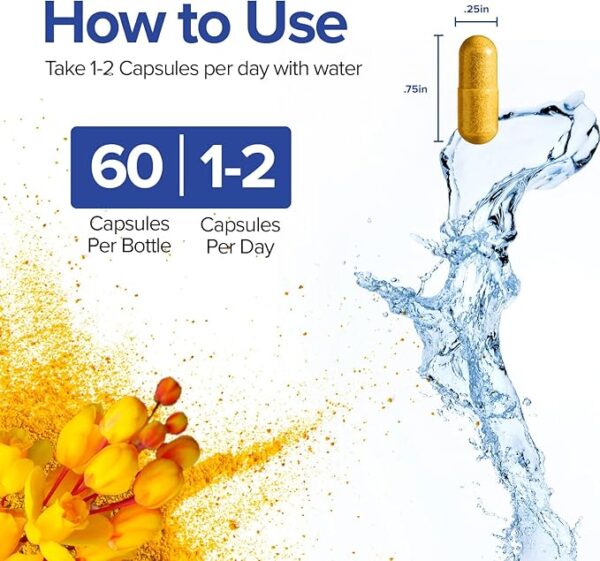 Berberine - High Absorption - 2200mg Equivalent - Herbal Supplement - Lower Blood Glucose - Helps Cholesterol - 60 Capsules - Image 3