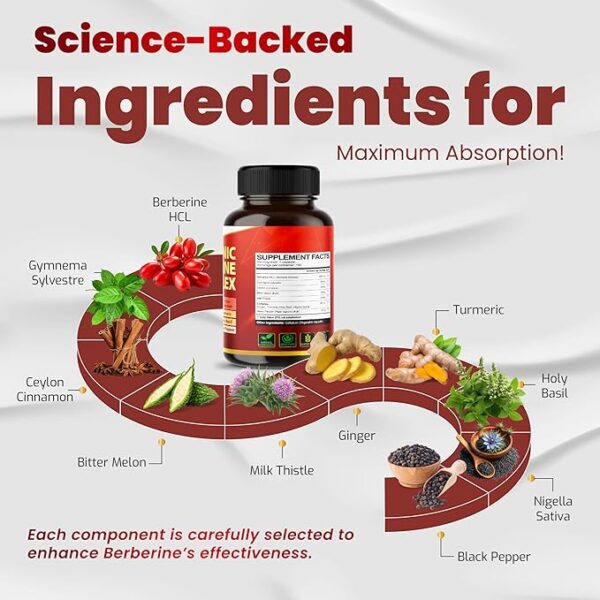 VEGATOT GlucoSavior Berberine Supplement with Ceylon Cinnamon, Bitter Melon, Gymnema - Supports Immune, Heart Health & Gastrointestinal Function - Made in The USA (150 Count (Pack of 1)) - Image 2