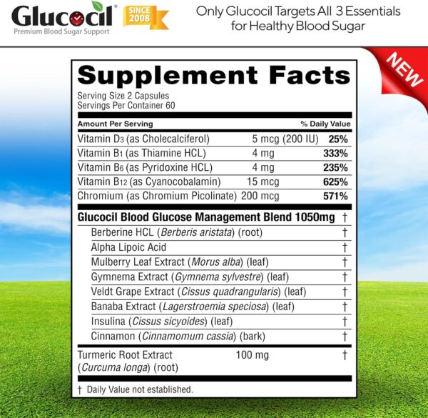 Glucocil – New - Vegetarian Capsules - Premium Blood Sugar Support - Supports The 3 Essentials for Healthy Blood Sugar - with Berberine, Proprietary Mulberry Leaf, and More - Image 8